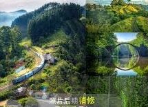 007足球比分分析-007足球比分分析，揭秘绿茵场上的数字密码与战术博弈