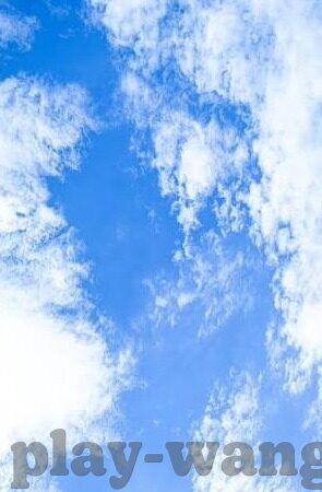 德州扑克发牌员-德州扑克发牌员，角色、职责与技巧